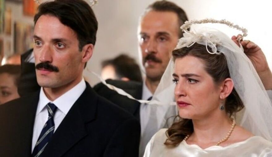 Άγριες Μέλισσες: Ήρθαν στη ζωή μας, τους είδαμε, τους αγαπήσαμε και τους... σκότωσαν