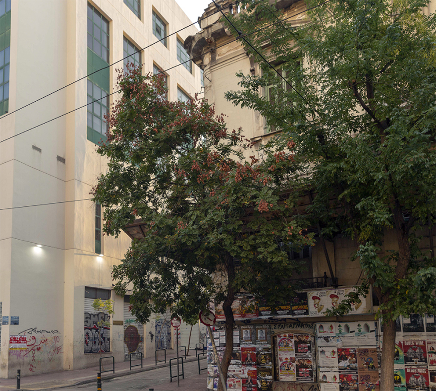 Εξαρθρώθηκε σπείρα που διακινούσε ναρκωτικά όλο το 24ωρο δίπλα στην ΑΣΟΕΕ!