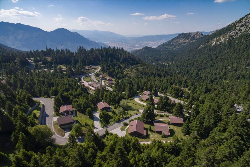 Dog Weekend: Ένα διήμερο αφιερωμένο στα αγαπημένα μας κατοικίδια