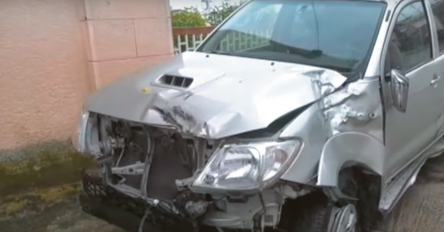 Πώς γέμισε η Ελλάδα αγριογούρουνα, τσακάλια και... κατσίκια