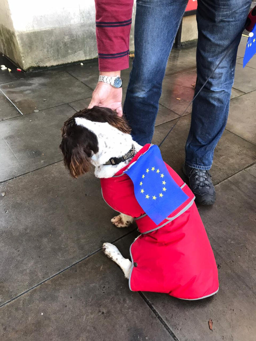 Brexit: Πανηγύρια από τους διαδηλωτές στο Λονδίνο για το αποτέλεσμα στο κοινοβούλιο