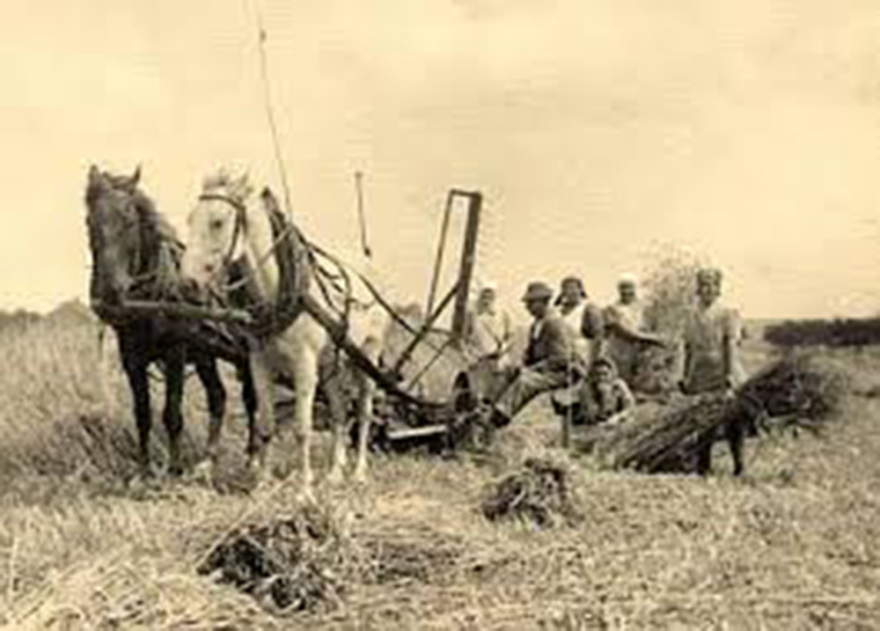 Οι διώξεις των Ελλήνων της τέως ΕΣΣΔ από το σταλινικό καθεστώς (β’ μέρος) (1941-1949)