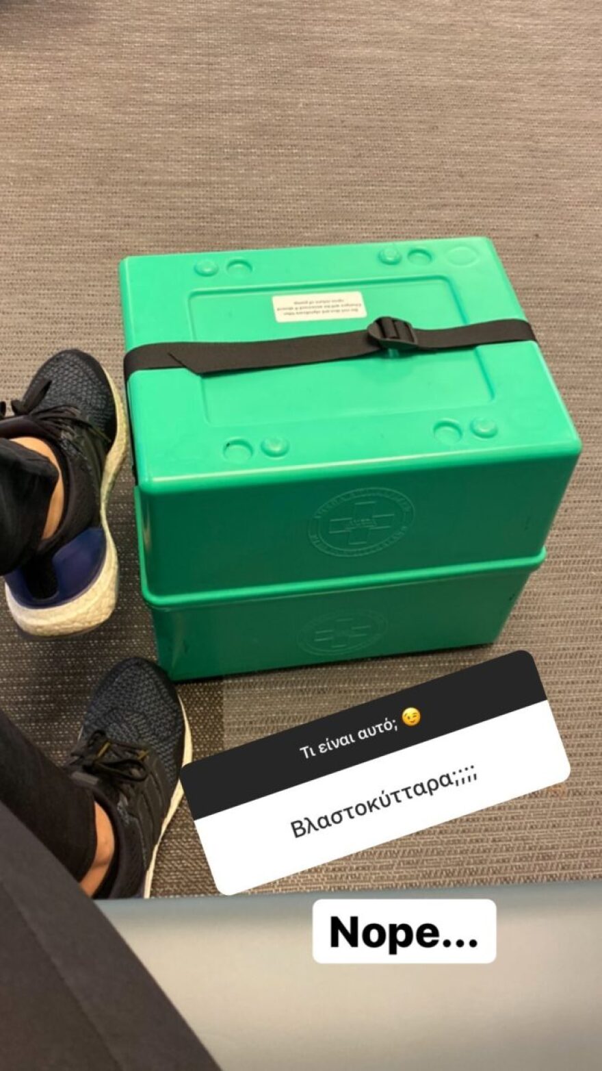 Δούκισσα Νομικού: Τι είναι αυτό το περίεργο πράσινο κιβώτιο που έχει πάντα μαζί της;