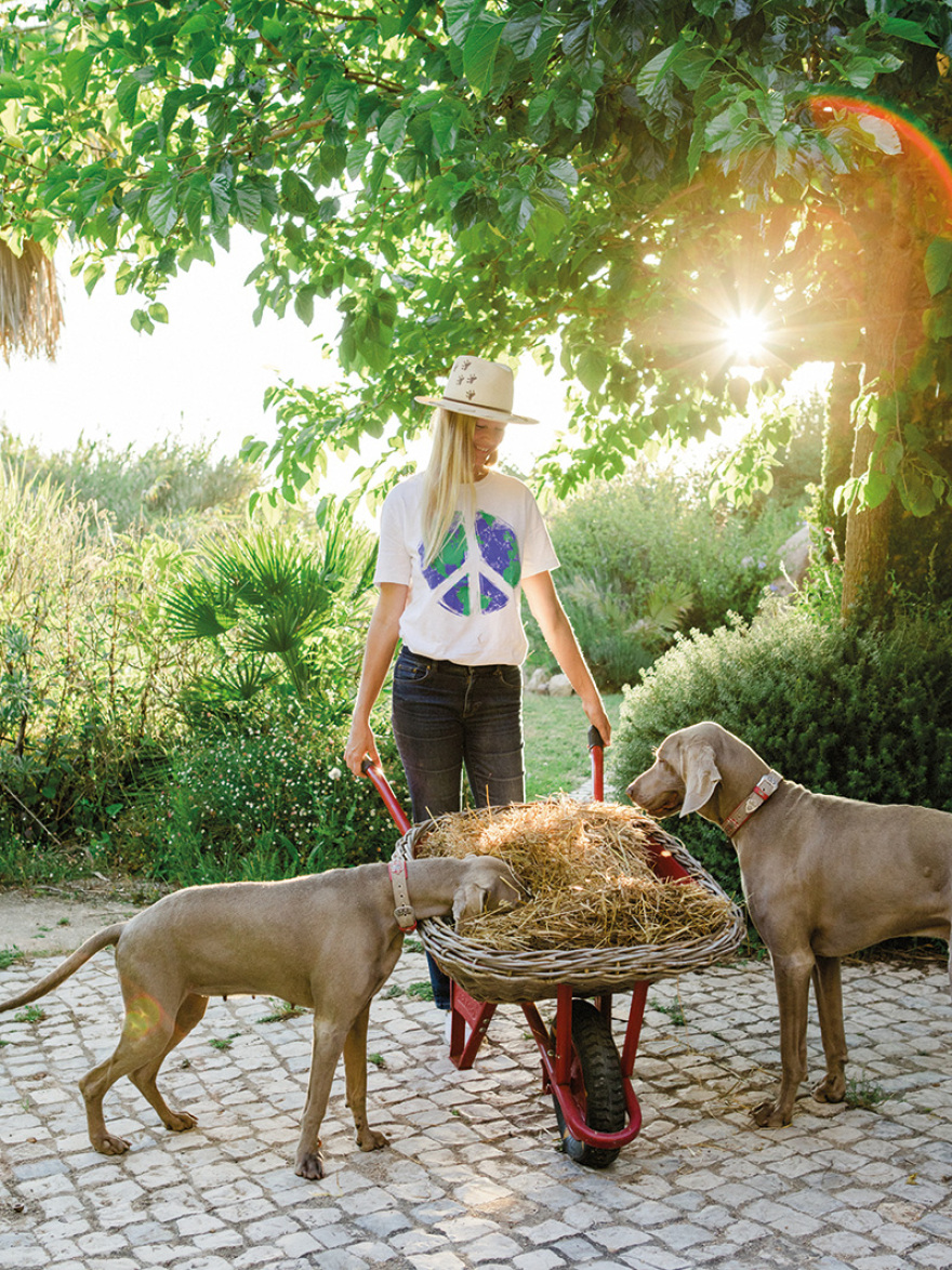 Αλίν Παναγοπούλου: Η σύζυγος του εφοπλιστή και οι μπίζνες με τα dog cookies