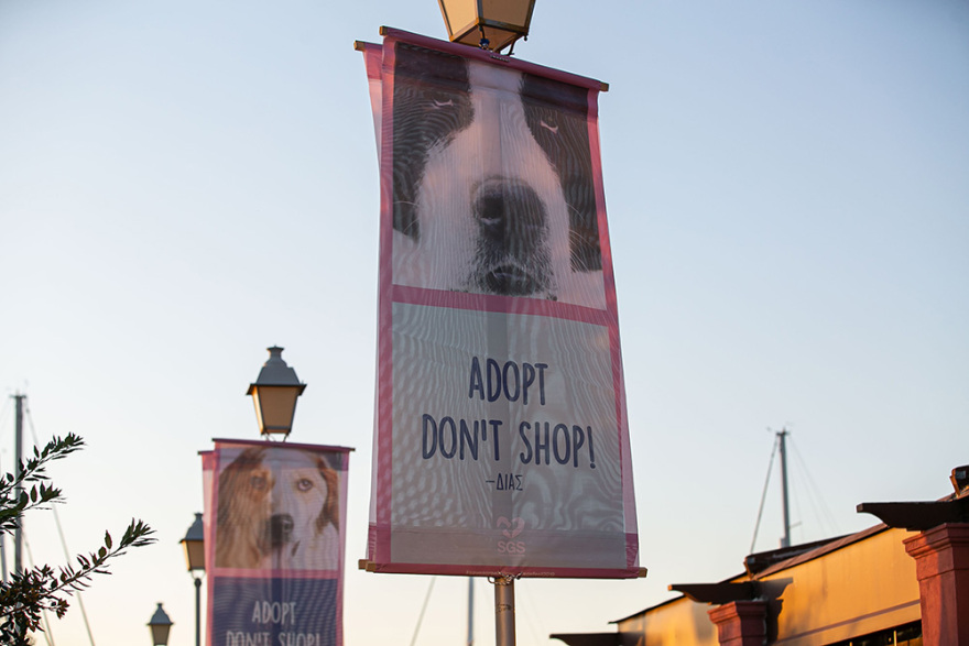 Με μεγάλη επιτυχία το 2o SGS Family & Pets Festival!