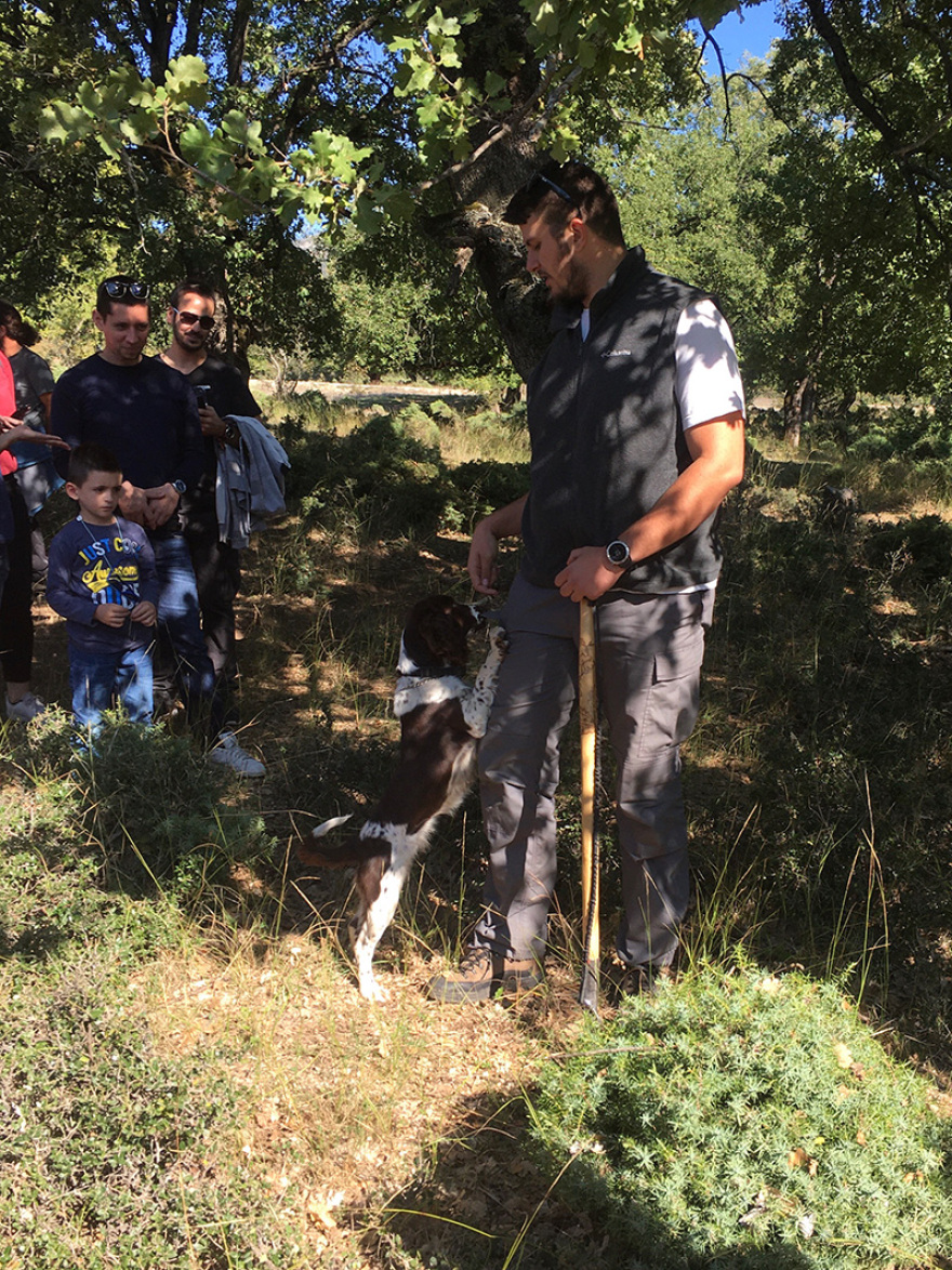 Μόκα: η σκυλίτσα κυνηγός τρούφας και ο βιωματικός τουρισμός από το Μουσείο Μετεώρων