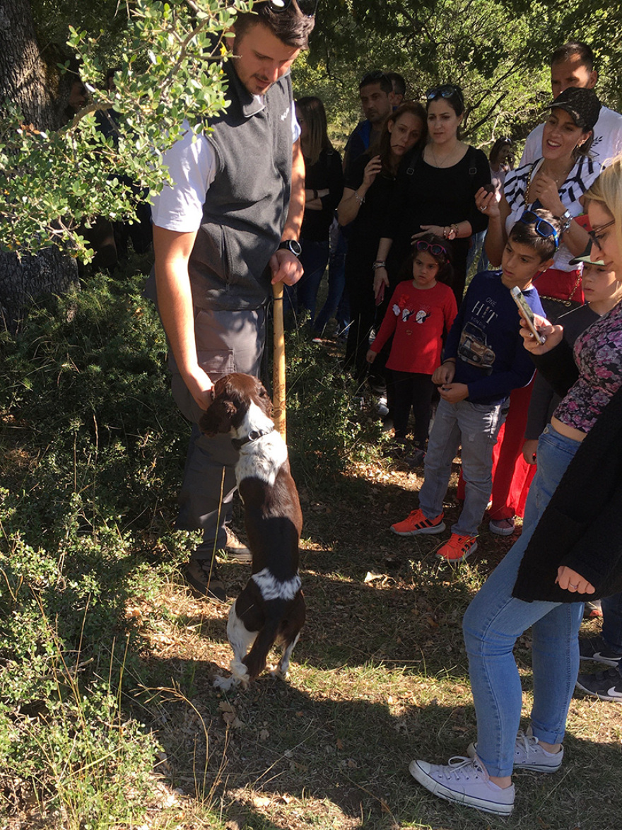 Μόκα: η σκυλίτσα κυνηγός τρούφας και ο βιωματικός τουρισμός από το Μουσείο Μετεώρων