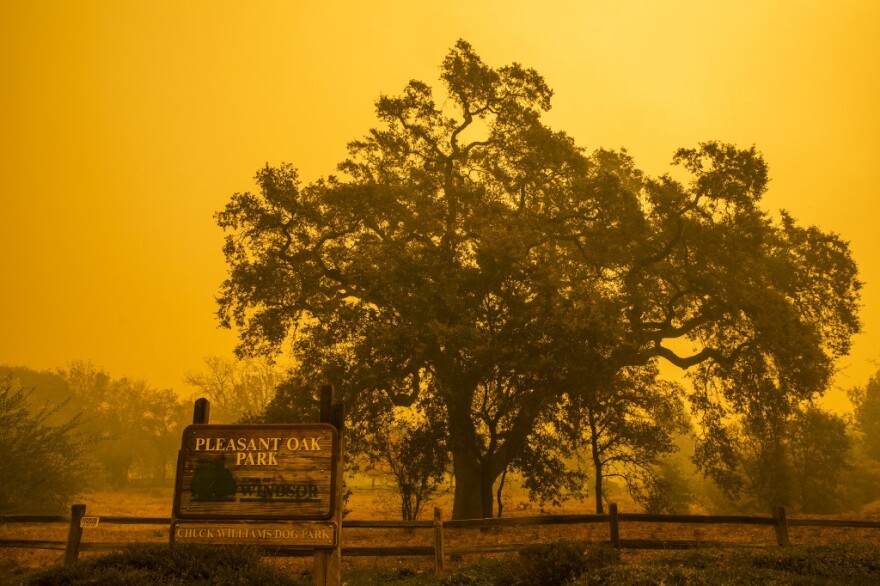 Πύρινος εφιάλτης στην Καλιφόρνια: «Μην χασομεράτε, φύγετε» - Διάσημοι εγκαταλείπουν τα σπίτια τους