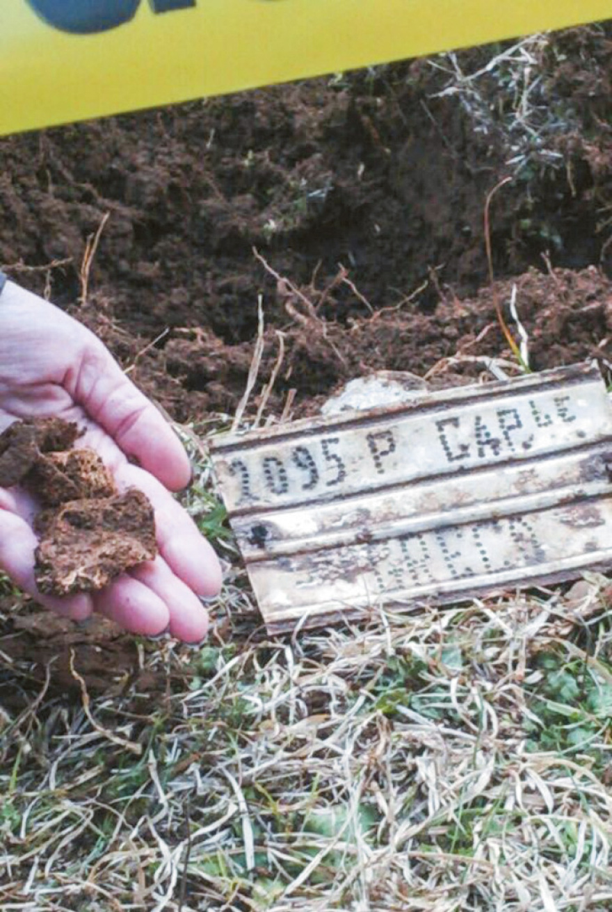 Πεσόντες στο Ύψωμα 731: Τιμή στους ήρωες 78 χρόνια μετά 