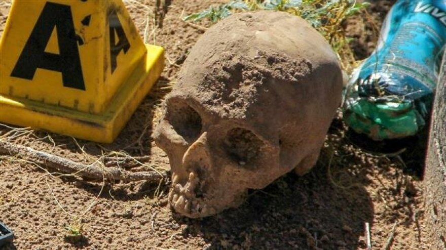 Φρίκη στο Μεξικό: Πάνω από 40 ανθρώπινα κρανία βρέθηκαν γύρω από βωμό σε καρτέλ ναρκωτικών	