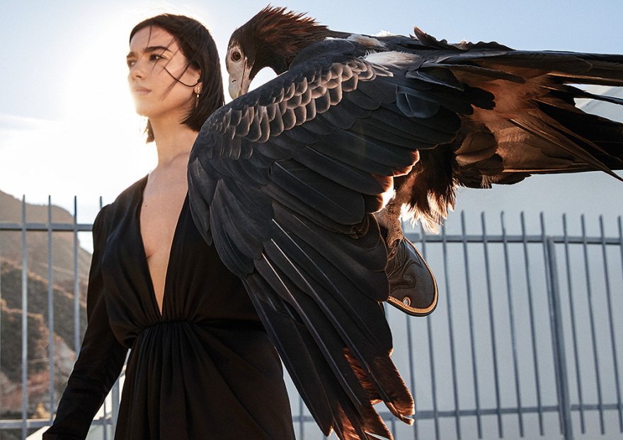 Dua Lipa: Η ασυμβίβαστη της ποπ σκηνής με τα δύο δισ. views