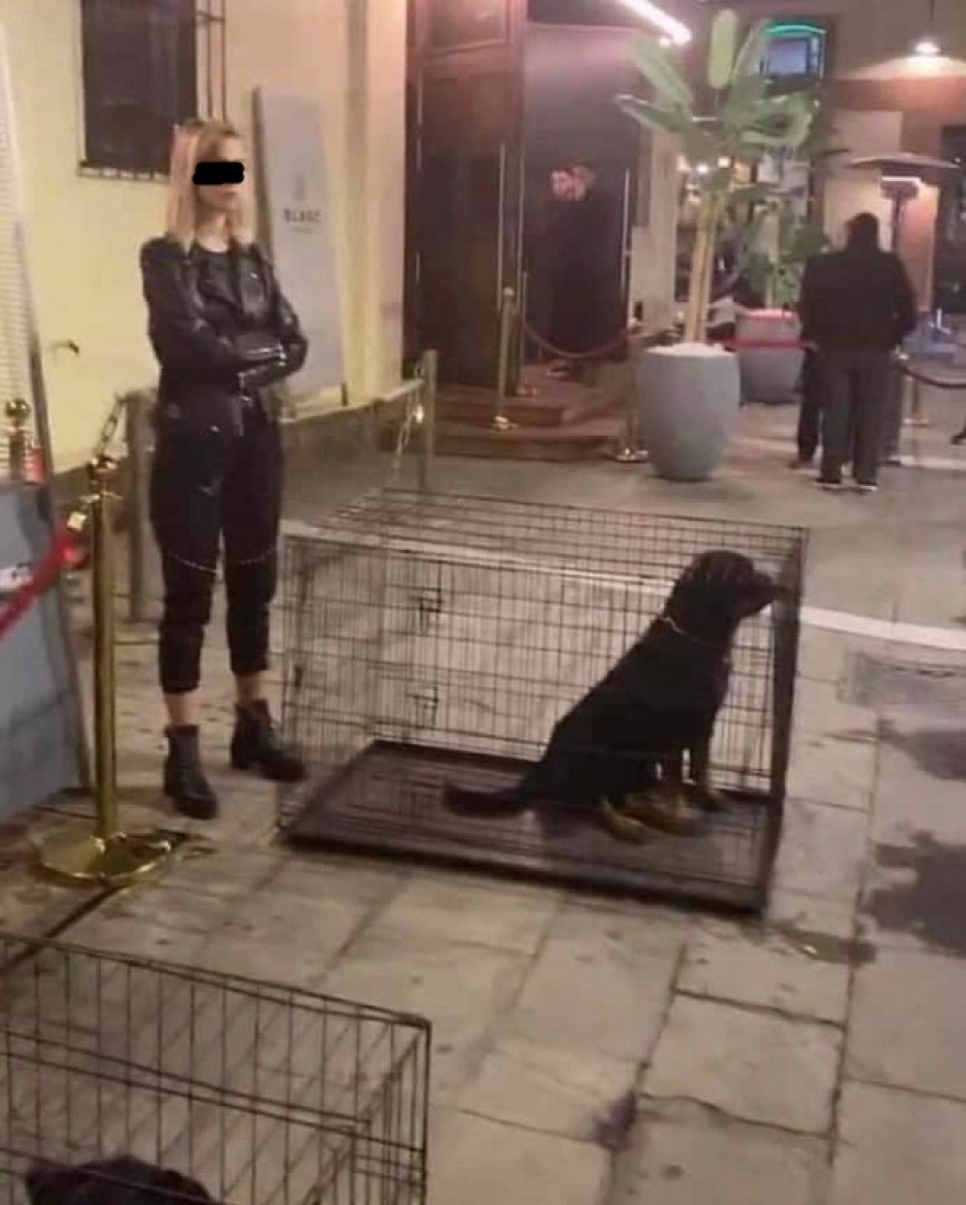 Θεσσαλονίκη: Σάλος για σκυλιά μέσα σε κλουβιά έξω από κέντρο διασκέδασης 