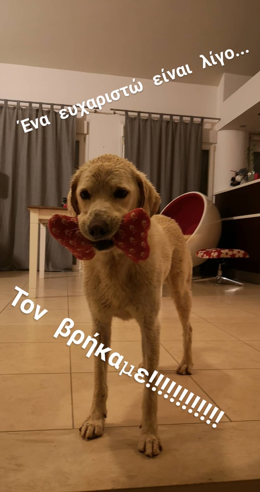 Λεωνίδας Κουτσόπουλος: Η έκκληση για βοήθεια και το αίσιο τέλος 