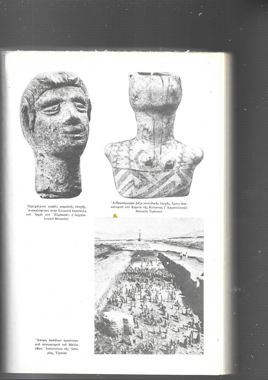 Τι γράφουν οι Αλβανοί για την ιστορία τους;