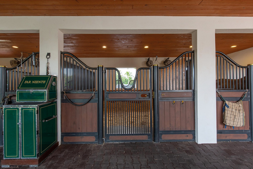 Αθηνά Ωνάση: Χρυσές μπίζνες με άλογα κούρσας