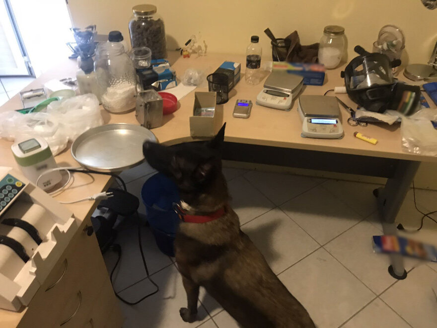 Φυλή: Κύκλωμα πουλούσε ναρκωτικά μέσω social media - Η «πρασινάδα», η «κογιανή» και το «χιόνι»