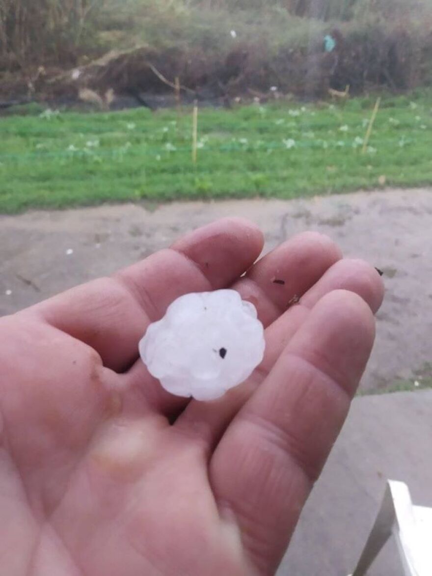 Κακοκαιρία Βικτώρια: Σε κατάσταση έκτακτης ανάγκης τα Χανιά - Ζημιές σε Κέρκυρα και Κεφαλονιά