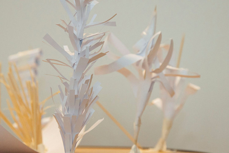 Το Ίδρυμα Γ. & Α. Μαμιδάκη αρωγός της τοπικής κοινωνίας του Αγίου Νικολάου