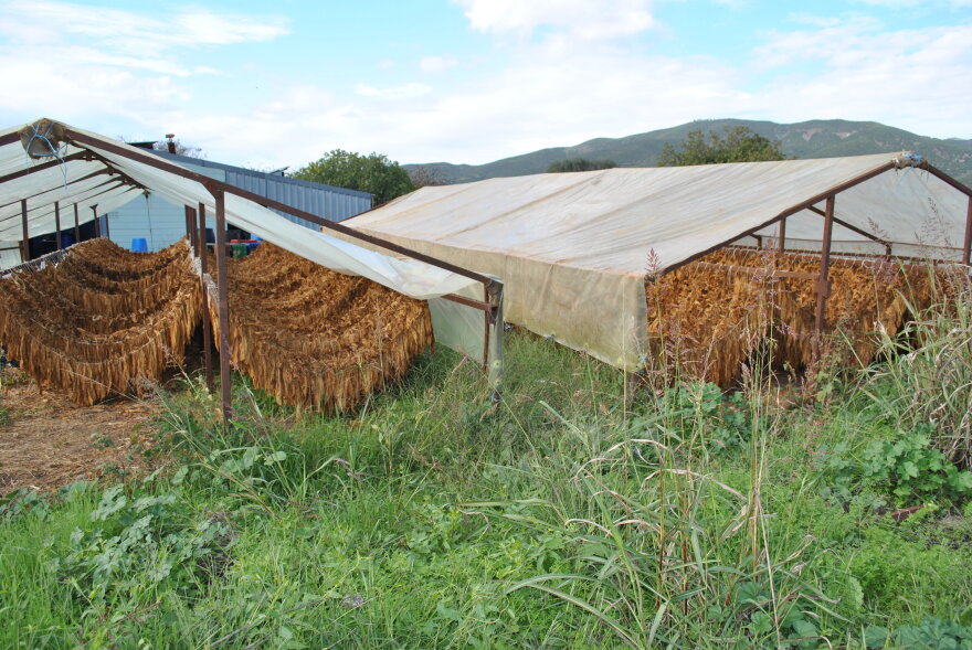 Λαμία: Θα έστελναν δυόμισι τόνους λαθραίου καπνού μέσω ΚΤΕΛ - Δείτε φωτογραφίες