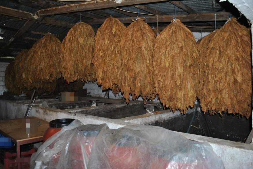 Λαμία: Θα έστελναν δυόμισι τόνους λαθραίου καπνού μέσω ΚΤΕΛ - Δείτε φωτογραφίες