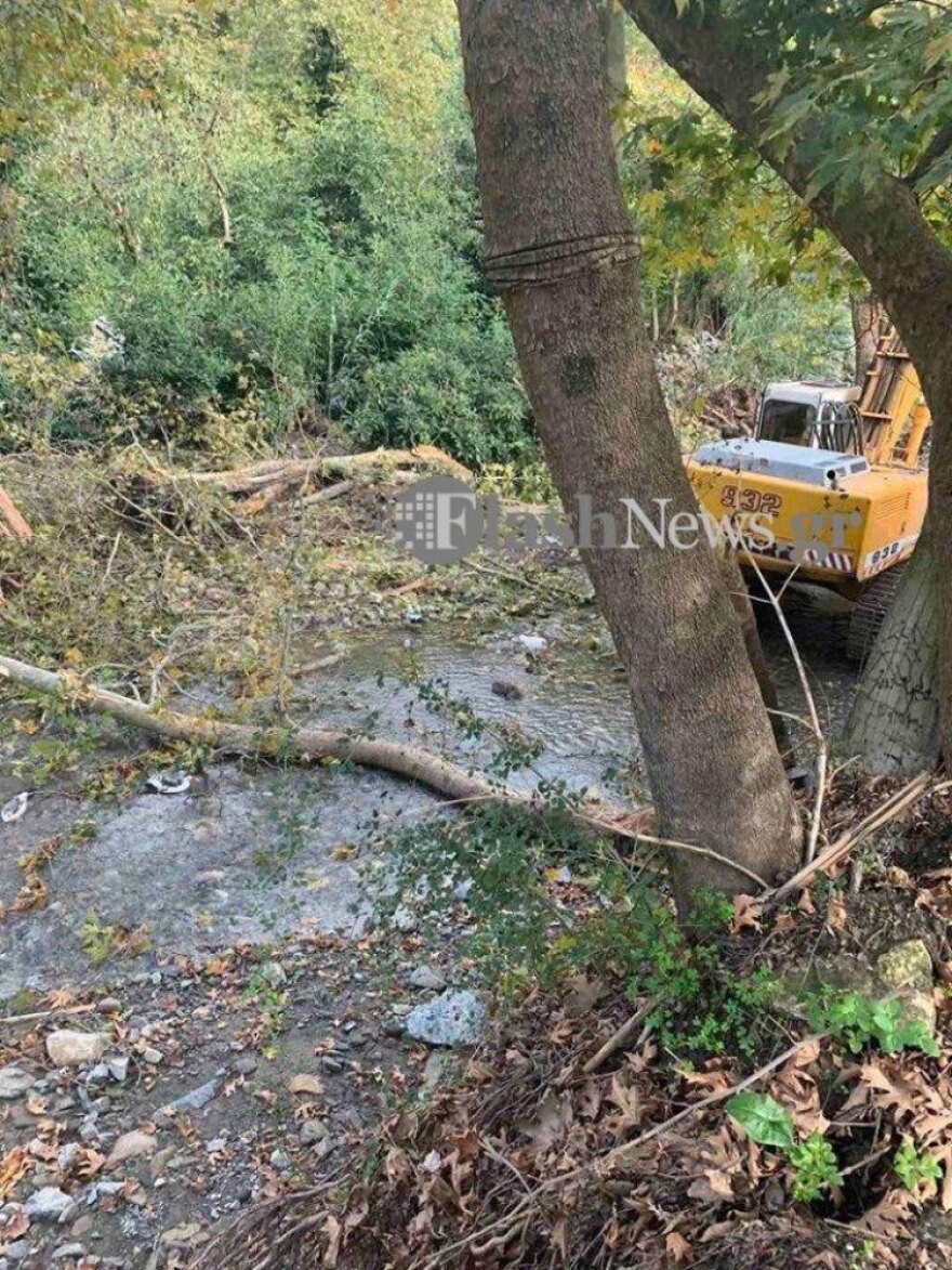 Τραγικό περιστατικό στην Κρήτη: Δέντρο κατάπλακωσε άντρα και τον σκότωσε 