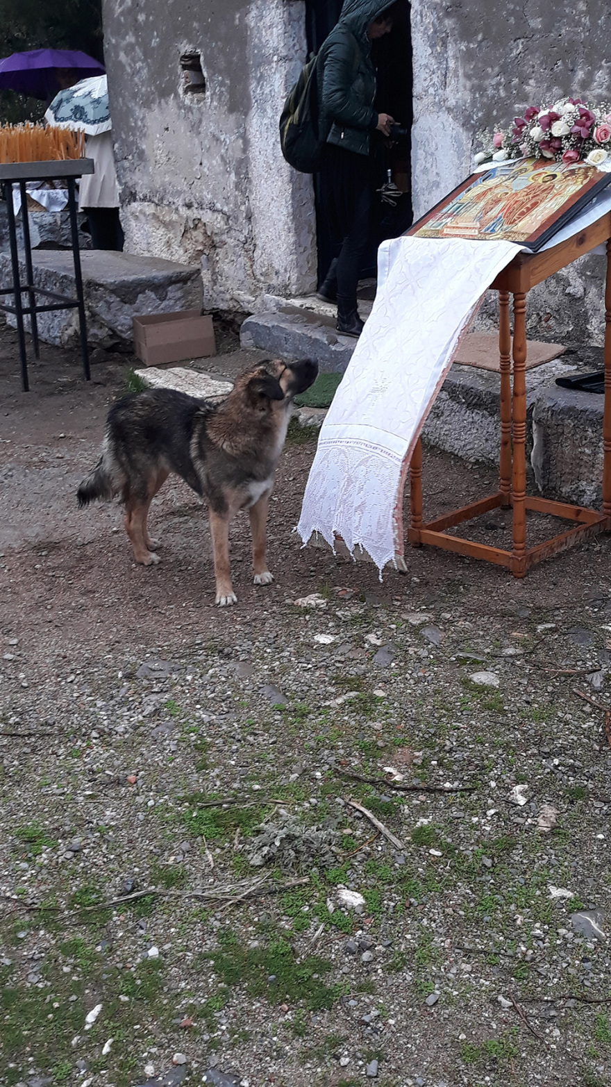 Ελευσίνα: Ο κορωνοϊός «νίκησε» τη θεά Δήμητρα…  ακόμη και την Παναγία