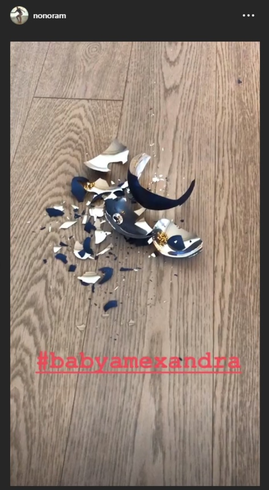 Η Ελεονώρα Μελέτη στόλισε το χριστουγεννιάτικο δέντρο και αποκάλυψε τη ζημιά που έκανε η κόρη της