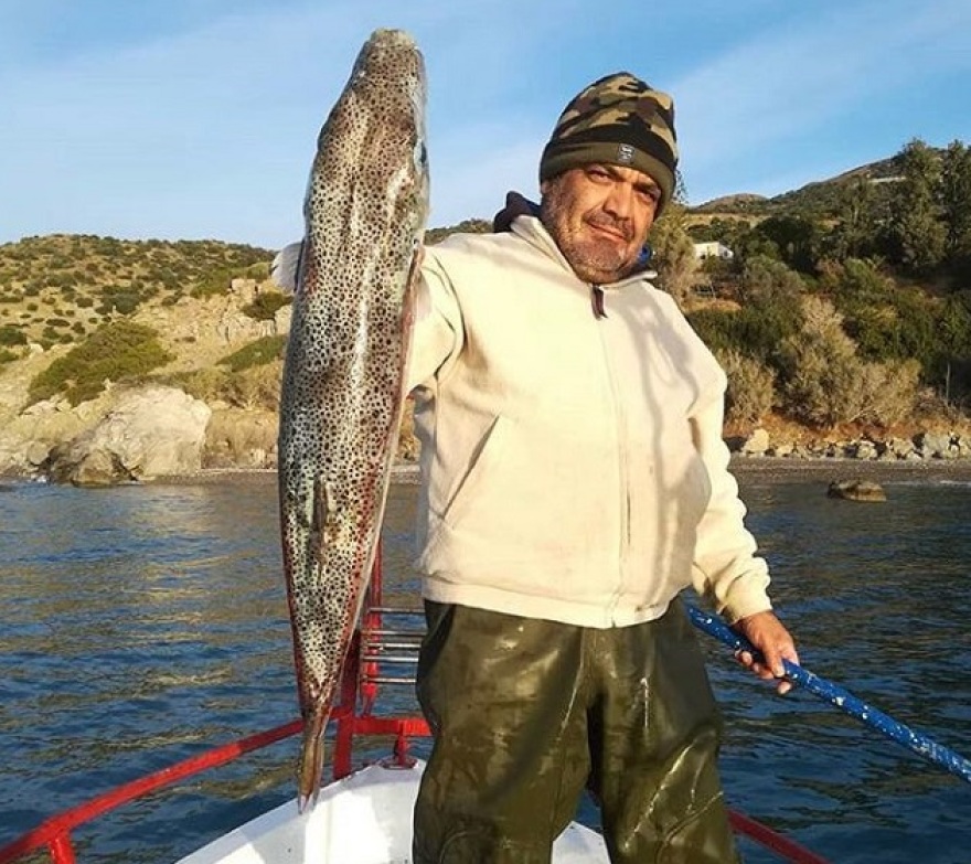 Πελώριος λαγοκέφαλος στα δίχτυα Κρητικού ψαρά