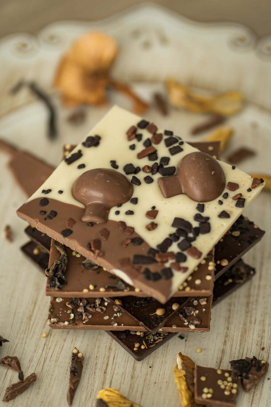 Μουσείο Μανιταριών: Τώρα και σοκολάτες από άγρια μανιτάρια!  