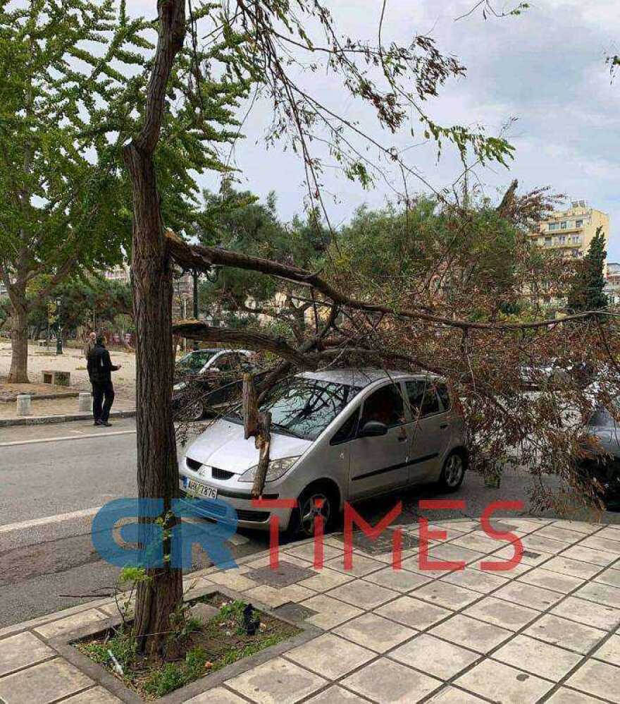 Θεσσαλονίκη: Δέντρο πλάκωσε αυτοκίνητο 