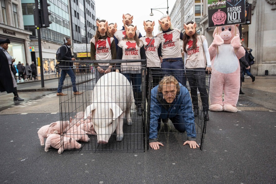 Όλα τα γουρούνια (δεν) έχουν την ίδια μούρη: Ο Τζερόμ Φλιν το επιβεβαιώνει και διαμαρτύρεται