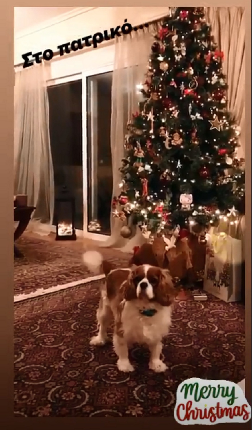 Κατερίνα Καινούργιου: Μας δείχνει το χριστουγεννιάτικο δέντρο στο πατρικό της