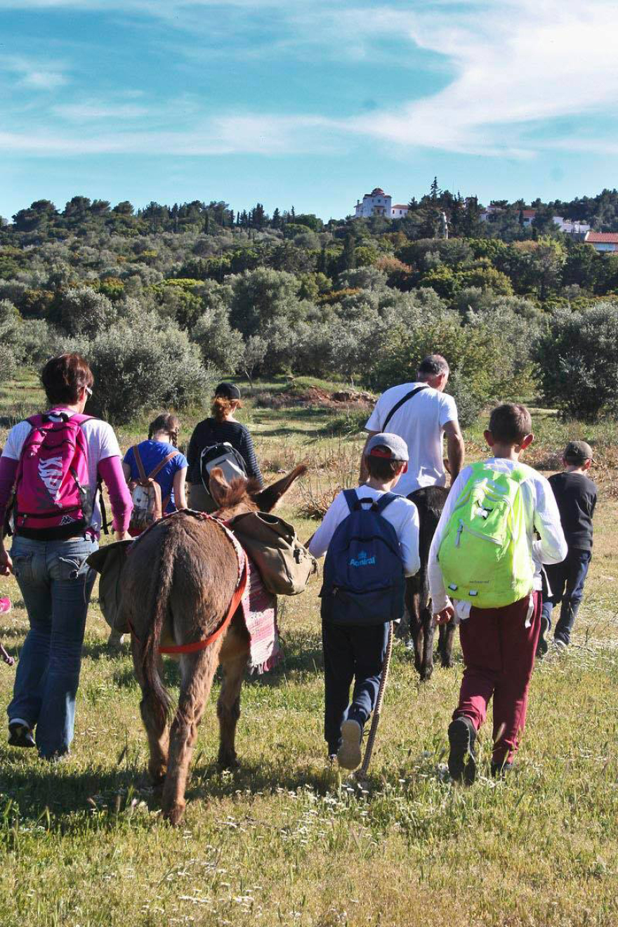 H Κυριακή της Φασολάδας στη Γαϊδουροχώρα