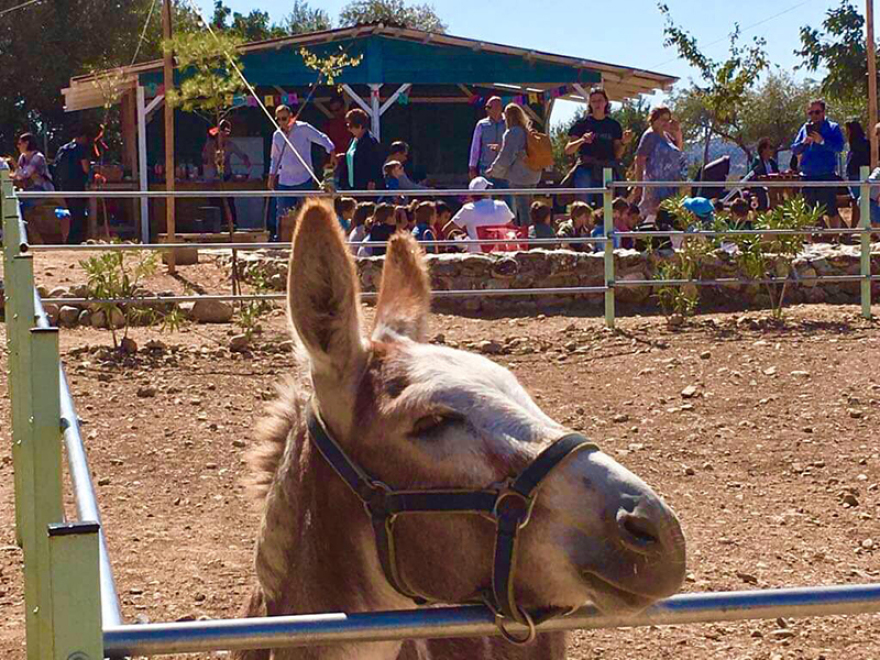 H Κυριακή της Φασολάδας στη Γαϊδουροχώρα