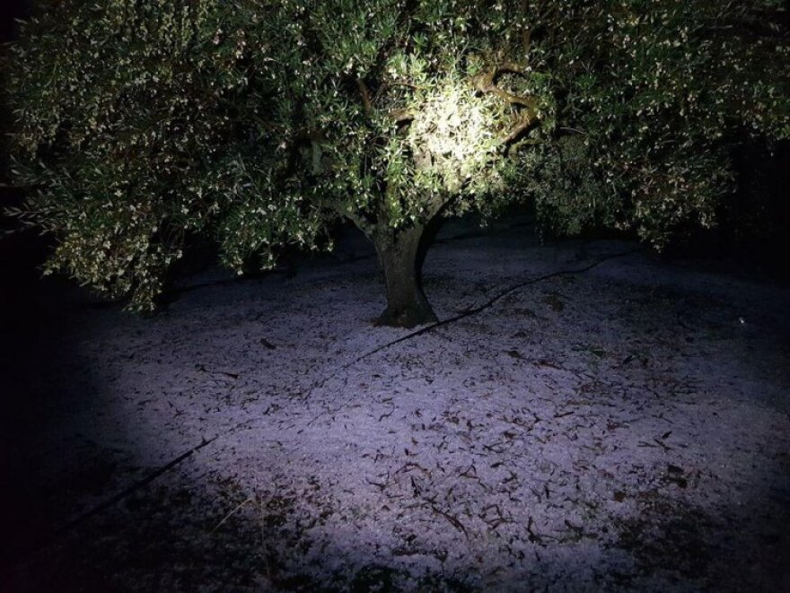 Κακοκαιρία «Διδώ»: «Σάρωσε» την Κρήτη - Σφοδρή χαλαζόπτωση το βράδυ στο νησί 