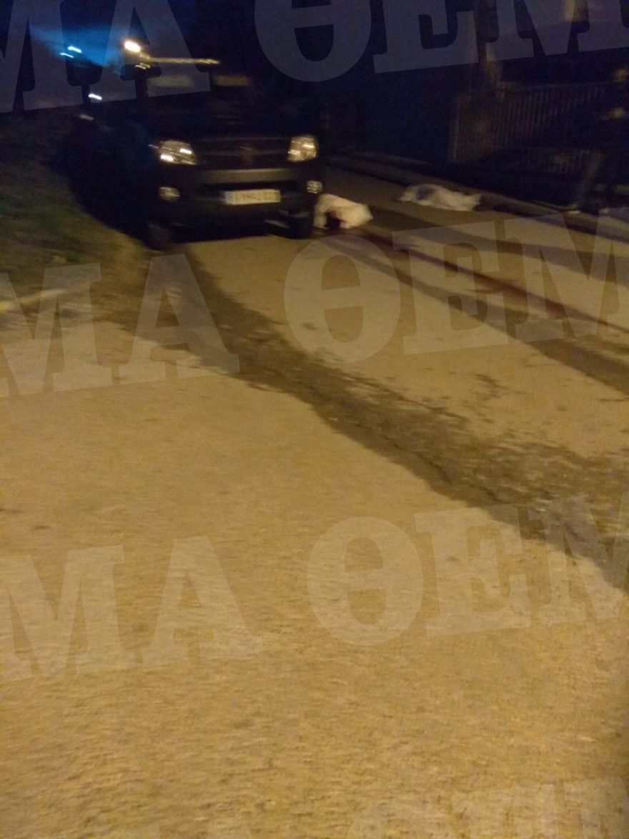 Διπλό φονικό στη Βοιωτία: Πως ξεκίνησε η συμπλοκή