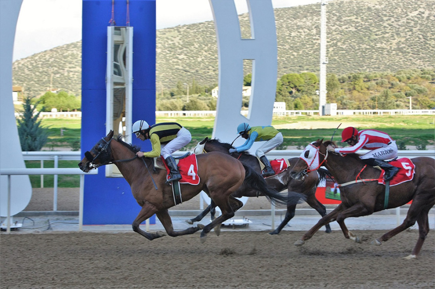Markopoulo Park: Ρεκόρ συμμετοχών με 73 ίππους