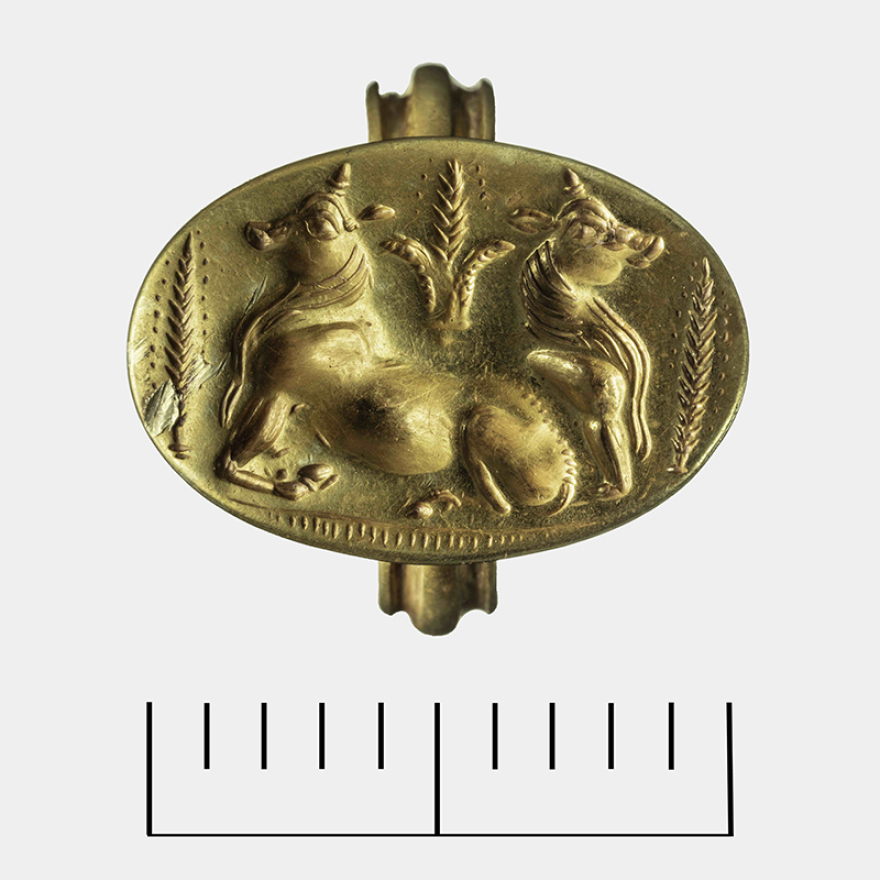 Πύλος: Ασύλητοι θολωτοί τάφοι βρέθηκαν κοντά στον Γρύπα Πολεμιστή