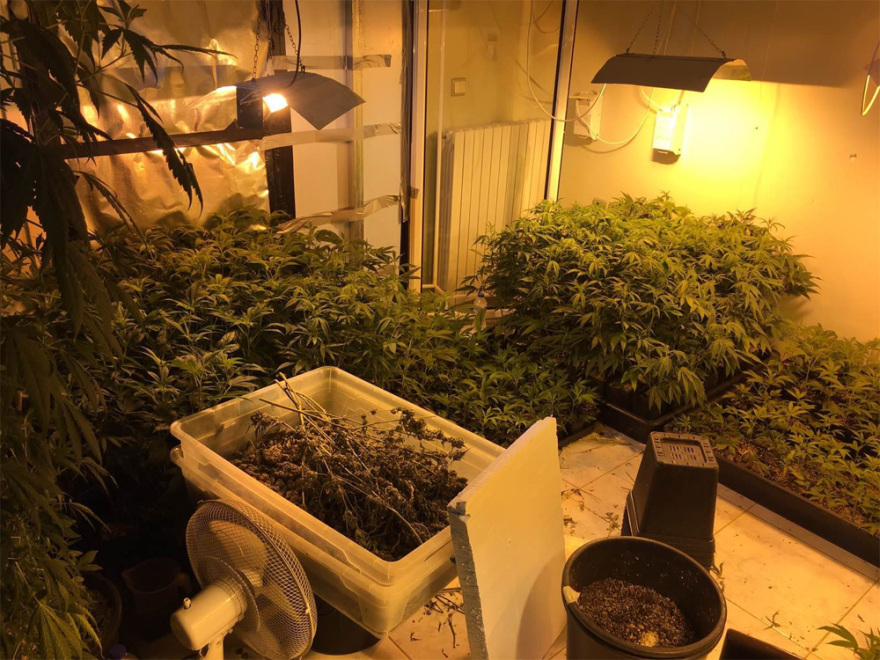 Είχαν φτιάξει εργαστήρια σε διαμερίσματα για κάνναβη όλο τον χρόνο - Περίμεναν να εισπράξουν €1 εκατ.!