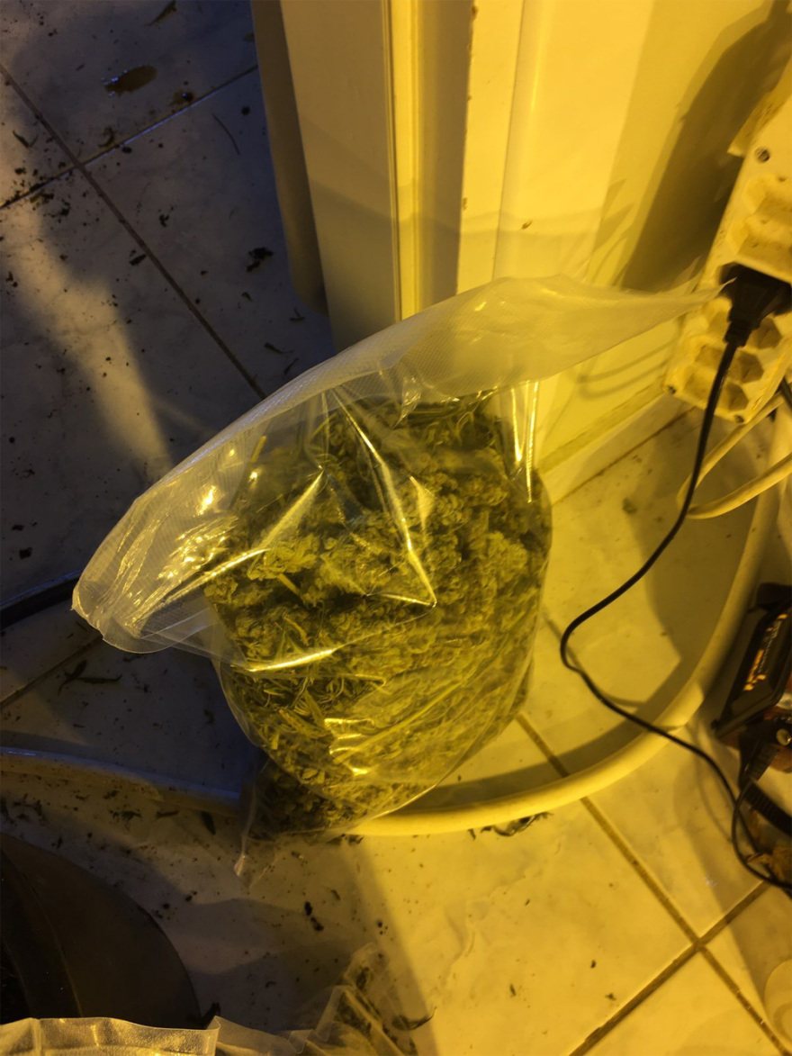 Είχαν φτιάξει εργαστήρια σε διαμερίσματα για κάνναβη όλο τον χρόνο - Περίμεναν να εισπράξουν €1 εκατ.!