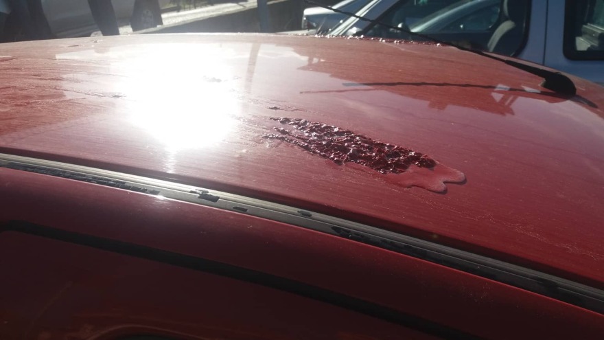 Ηλεία: Κατέστρεψαν με οξύ το αμάξι προέδρου Φιλοζωικής 