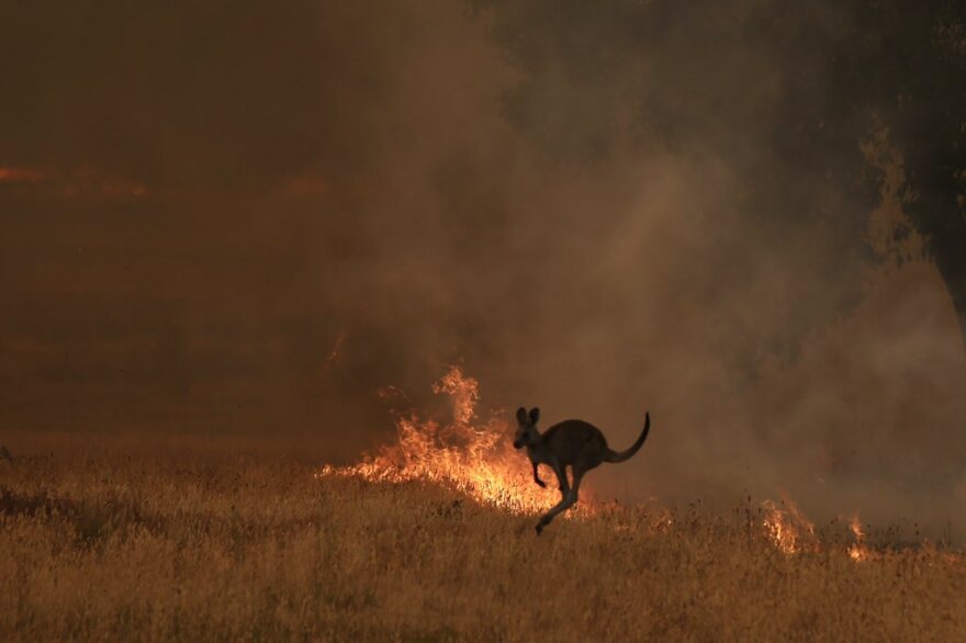 Αυστραλία: Ευνοϊκές οι μετεωρολογικές συνθήκες - Εντείνουν τις προσπάθειες οι πυροσβέστες 
