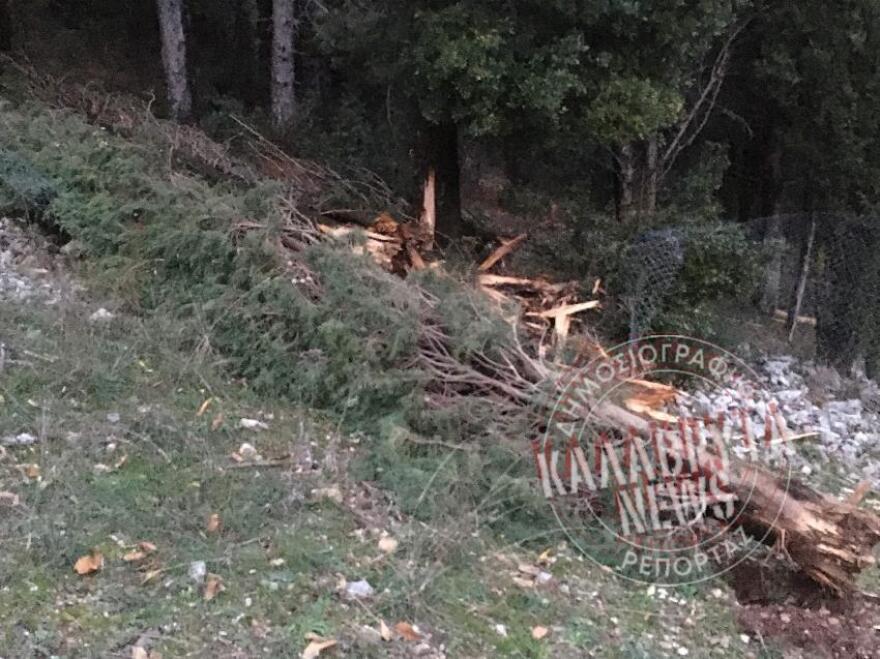 Αχαΐα: Αποκολλήθηκε βράχος και σταμάτησε λίγο πριν τα σπίτια στο Λιβάρτζι