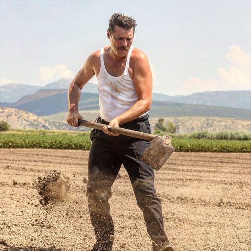 «Άγριες Μέλισσες»: Επιστρέφουν με... τρομερά μυστικά και καταιγιστικές εξελίξεις