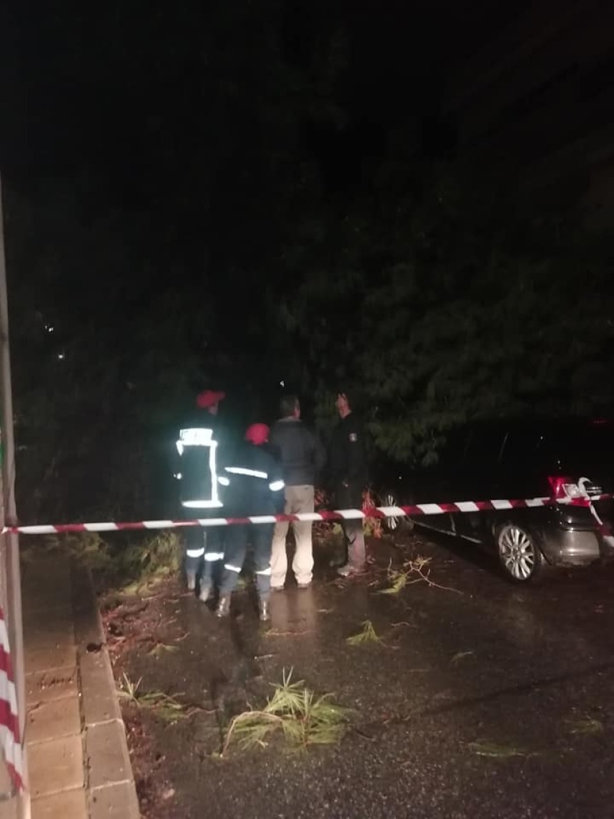 Ηράκλειο: Δέντρο έπεσε πάνω σε αυτοκίνητο 