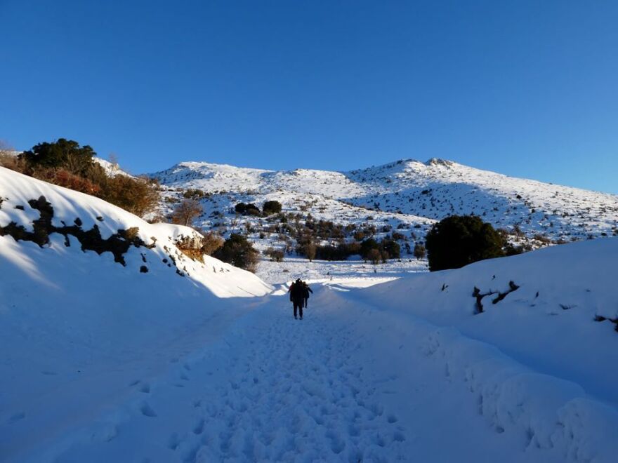 Επελαύνει ο «Ηφαιστίων»: Χιόνια σε Μαγνησία, Αχαΐα και Αρκαδία - Πού υπάρχουν προβλήματα στην κίνηση