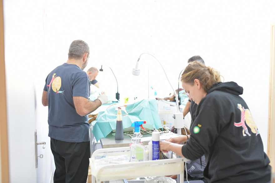 «Με αστείρευτη αγάπη για τα αδέσποτα»