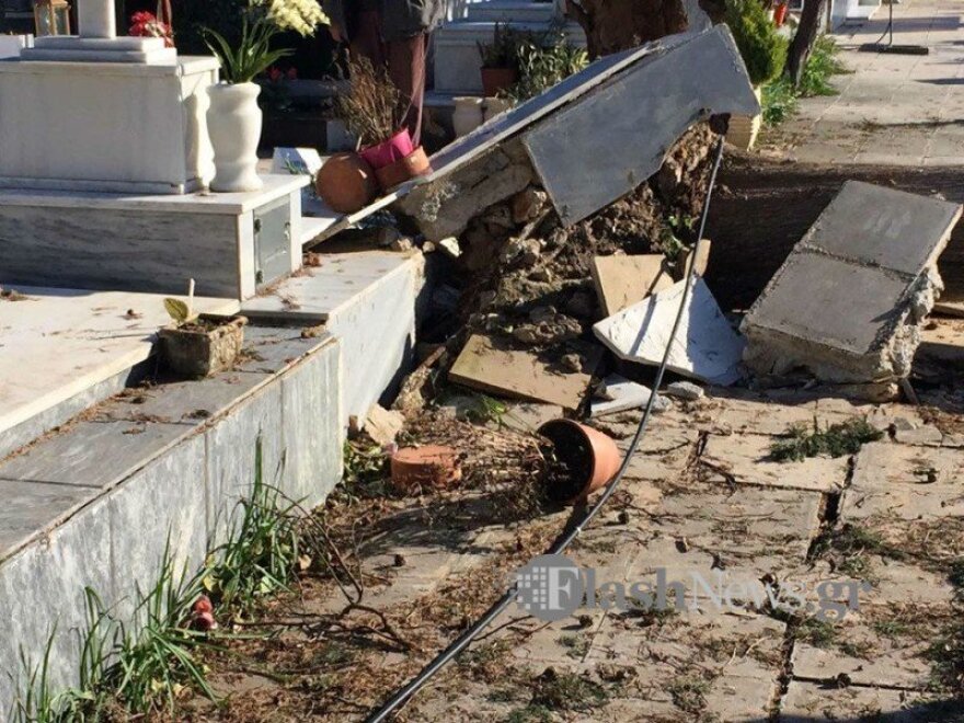 Χανιά: Κατέρρευσε μεγάλο δέντρο σε νεκροταφείο - Δείτε φωτογραφίες