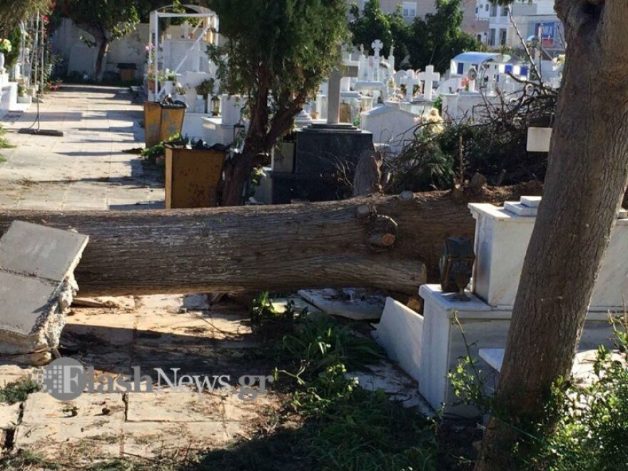 Χανιά: Κατέρρευσε μεγάλο δέντρο σε νεκροταφείο - Δείτε φωτογραφίες