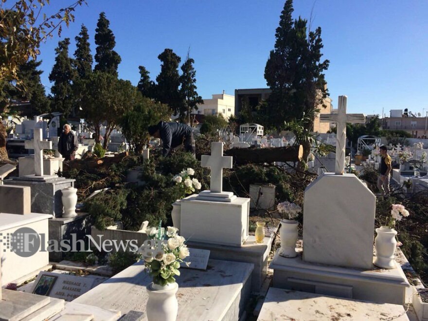 Χανιά: Κατέρρευσε μεγάλο δέντρο σε νεκροταφείο - Δείτε φωτογραφίες